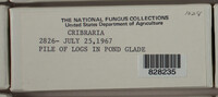 Image Associated With the Occurence